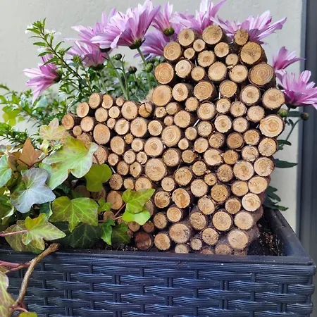 Lotterhof アパート ハインフェルス